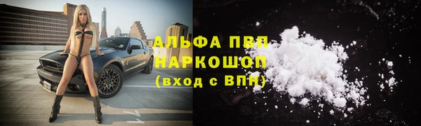 дживик Алексин