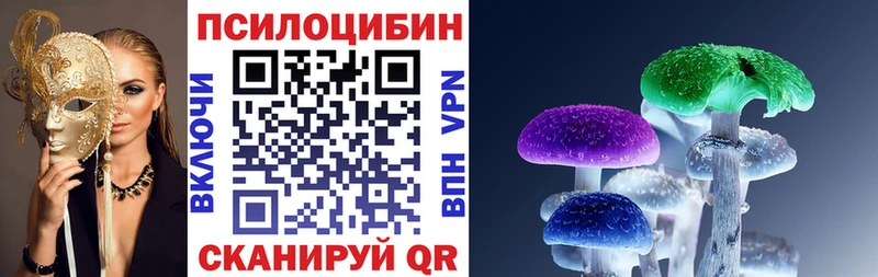 Псилоцибиновые грибы Cubensis Магнитогорск